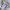 Covernat Casual Sweatshirt Pria cream photo 4