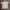 Adidas Casual T-shirt Pria Tan