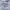 Columbia Casual Sweatshirt Pria gray photo 4