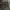 Timberland Casual Hoody Pria green photo 2