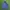 The North Face Casual Hoody Pria Navy