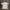 Adidas Casual T-shirt Pria White