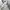 Japanese brand Y2K Biker Bomber jacket Pria multicolor photo 7