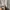 Nike Streetwear Skater Hoody Pria gray photo 8