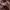 Streetwear Skater Hoody Pria multicolor photo 4
