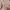 Supreme Streetwear Skater Hoody Pria pink photo 2