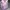 Smiggle Casual Kids Purple