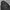 Carhartt Streetwear Hoody Pria black photo 3