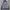 Columbia Gorpcore Windbreaker Pria navy photo 7