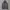 Carhartt Streetwear Hoody Pria Gray
