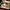 Nike Air Jordan Luxury Sportswear Sneakers Pria brown black photo 3