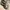 New Balance Streetwear Sneakers Pria Multicolor