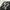 MLB Sportswear Hat Pria black photo 5