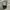 Carhartt Streetwear Bag Pria black photo 2