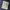 Kenzo Luxury Bag Pria navy photo 7