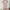Y2K Coquette Summer Dress Wanita White Pink