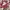 Japanese brand Luxury Scarf Wanita multicolor photo 3