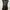 Minimal Luxury Evening Dress Wanita Gold Black