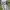 Montbell Gorpcore Kids green photo 2