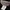 Avirex Bomber jacket Pria brown black photo 6