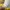 Luxury Blouse Wanita yellow photo 3