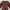 Grunge Fairy Blouse Wanita brown photo 2