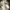 Nike Streetwear Minimalist Sneakers Pria White Black
