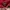 Southpole Vintage Y2K Windbreaker Pria red photo 3
