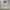 Lotto Sport Italia Vintage Casual Bomber jacket Pria cream photo 1