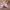 New Balance Sportswear Sneakers Pria cream photo 2