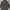 Uniqlo Gorpcore Casual Puffer jacket Pria green photo 7