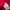 Crocodile Sportswear Jersey Wanita red photo 4
