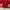 Made in USA Track jacket Pria red photo 4