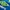 Umbro Sportswear Jersey Pria blue photo 5