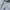 Adidas Vintage Polo shirt Pria white photo 2