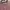 Casual Evening dress Wanita pink photo 6