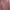 Casual Evening dress Wanita pink photo 5