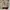 Sugar Cane Bomber jacket Pria red brown photo 5