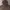 Polo Ralph Lauren Minimalist Hoody Pria brown photo 2