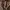 Polo Ralph Lauren Minimalist Hoody Pria brown photo 3