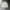 Polo Ralph Lauren Casual Polo shirt Pria white photo 1