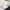 Luxury Futurist Bomber jacket Pria white navy photo 8