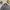Nike Vintage Sportswear Windbreaker Pria gray photo 3