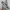 VANS Skater Casual Casual shoe Pria multicolor photo 3