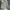 Polo Ralph Lauren Vintage Casual Sweater Pria Tan
