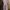 Coquette Summer dress Wanita multicolor photo 1