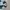 Attention Sportswear Windbreaker Pria gray photo 4