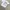 Y2K Skater T-shirt Pria White