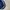Adidas Sportswear Windbreaker Pria navy photo 4