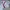 Nike Sportswear Windbreaker Pria multicolor photo 5
